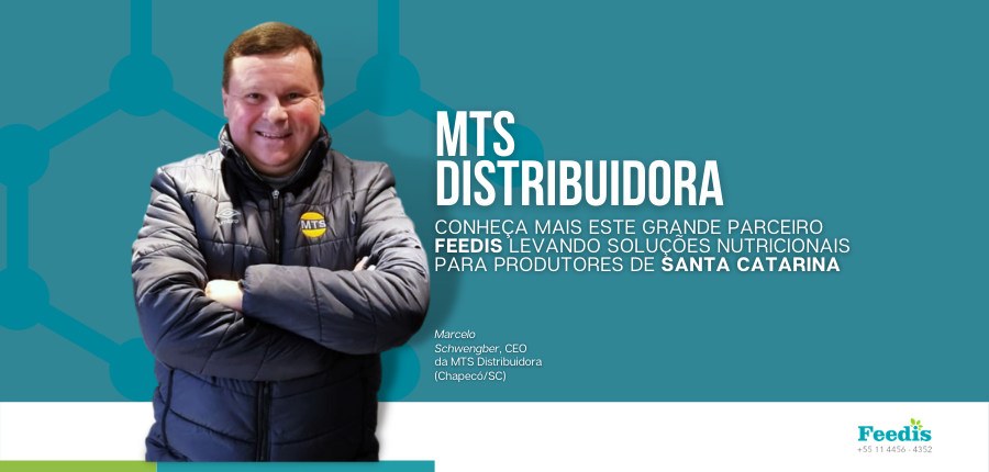 mts distribuidora_blog.png